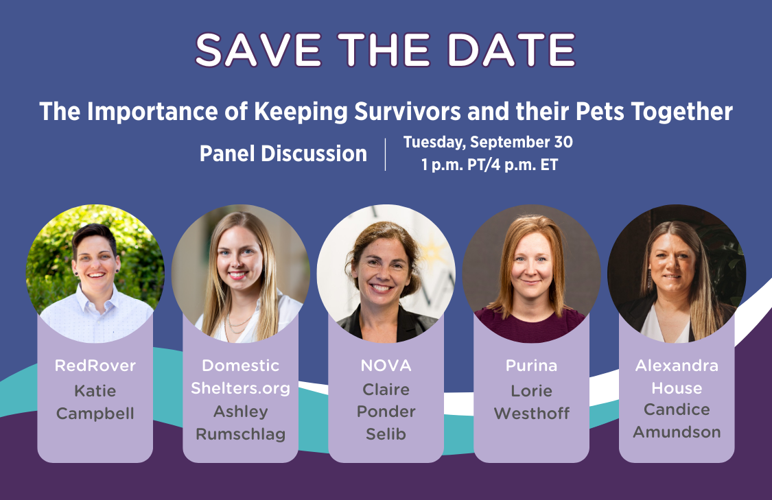 RedRover DVAM Panel Save the Date