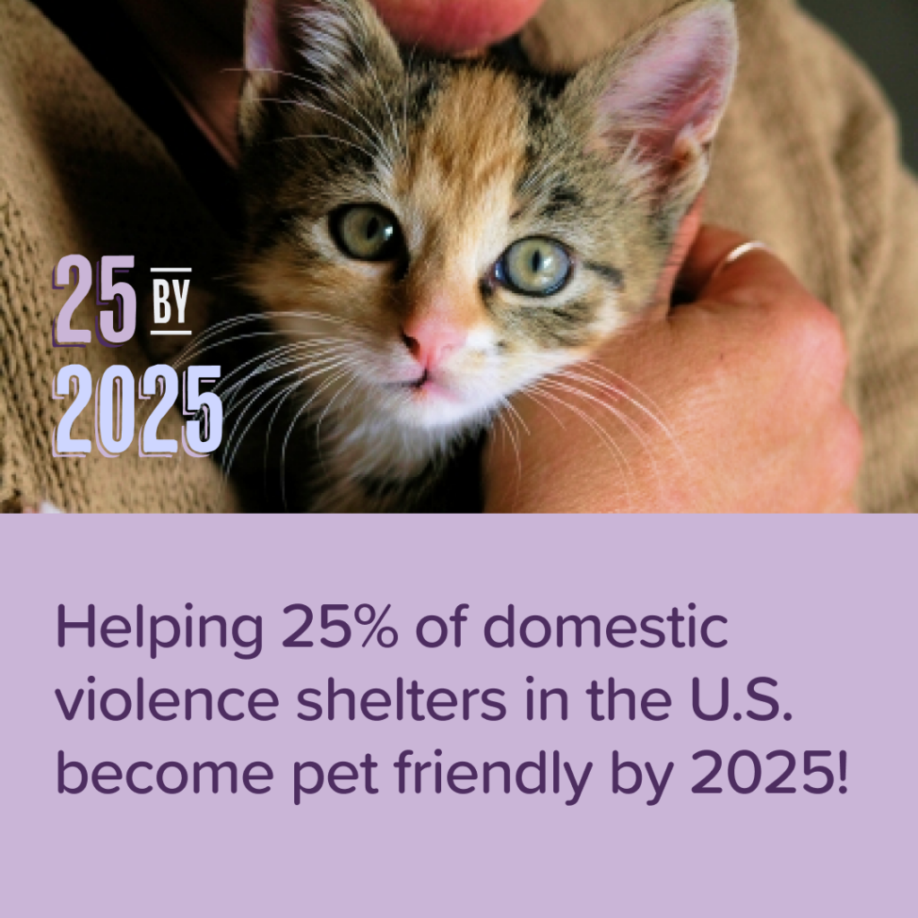 close up of a person holding a little kitten with 25 by 2025 logo and purple box of text says helping 25% of domestic violence shelters in the U.S. become pet friendly by 2025
