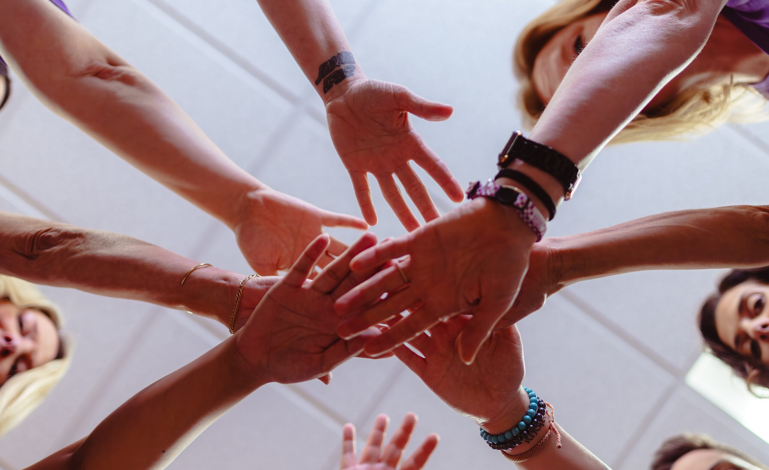 The Purple Leash Project staff hands in