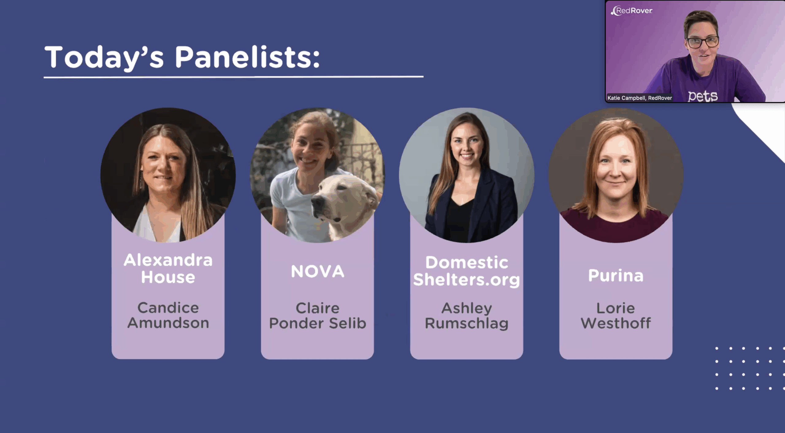 RedRover DVAM Panel Screenshot