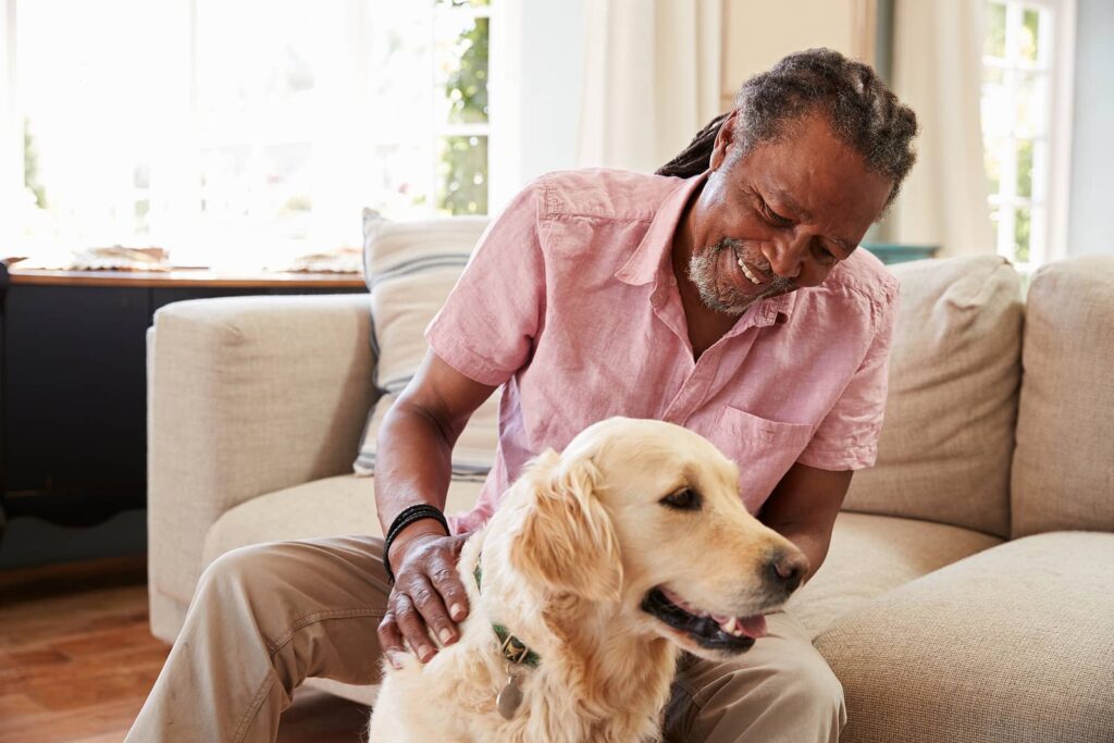 A man Sitting On Sofa At Home With Golden Retriever Dog stock photo