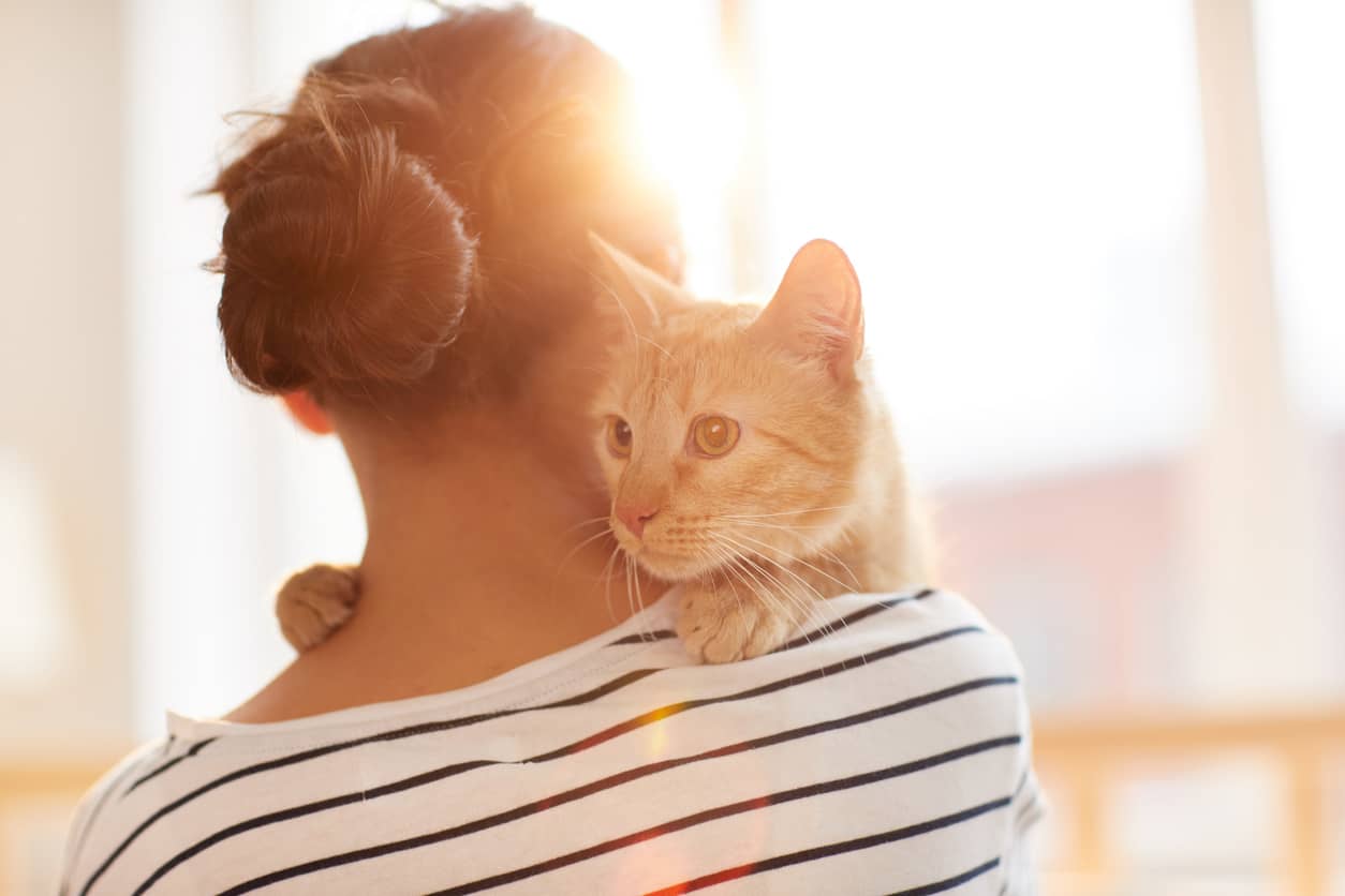 Photo of a woman holding a cat, the cats paw is on the woman's shoulder and the cat is looking off camera