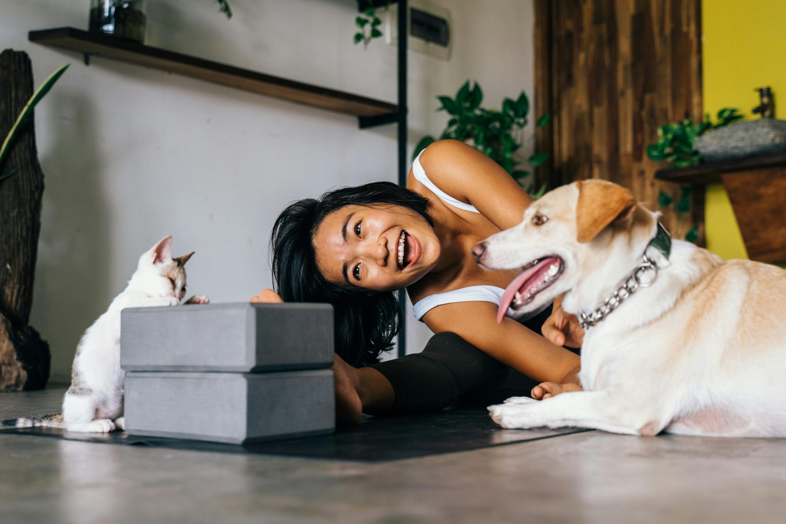 woman cuddles dog and kitten