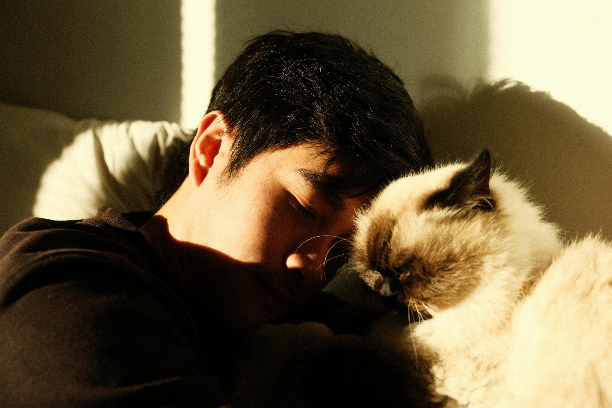 nonbinary person cuddling with Siamese cat